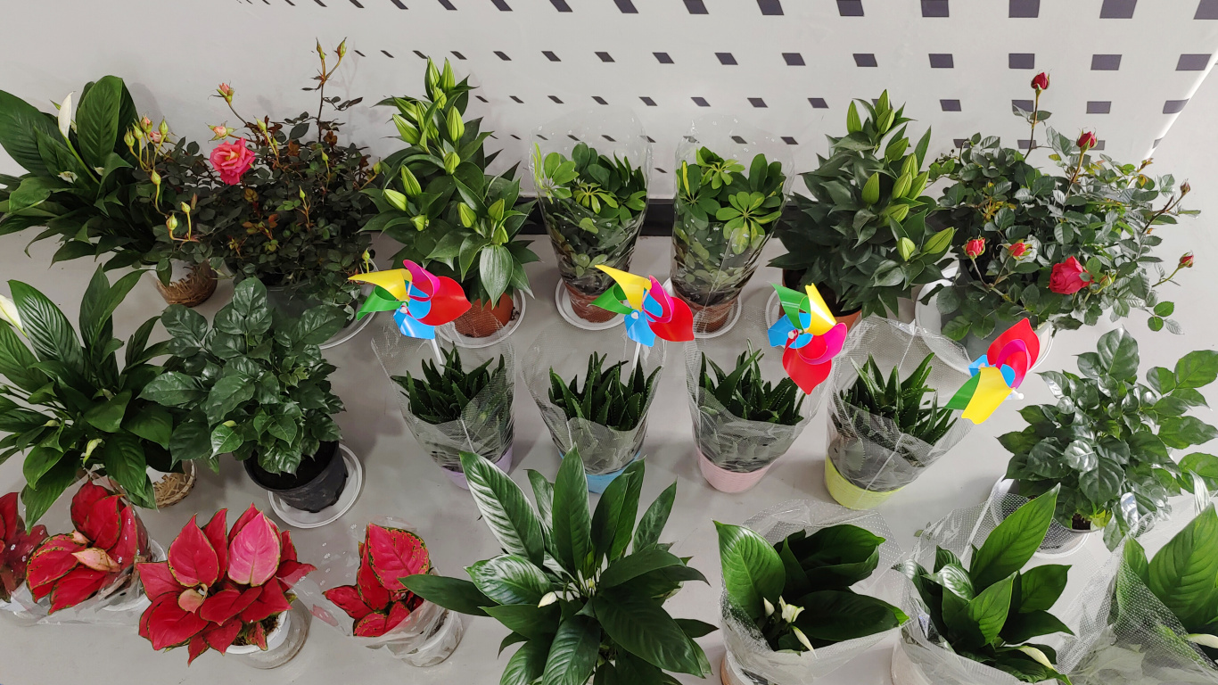 MG������Ϸ